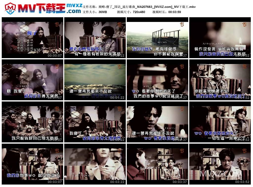 顾峰-傻了_国语_流行歌曲_MA207683